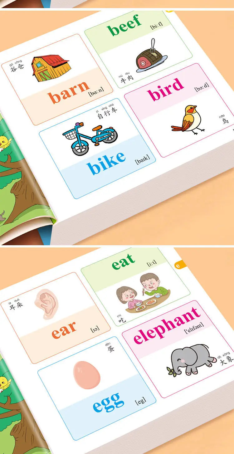 Children's English Words for Daily Life, Oral English Conversation, Vocabulary, Beginner's Book, Children's English