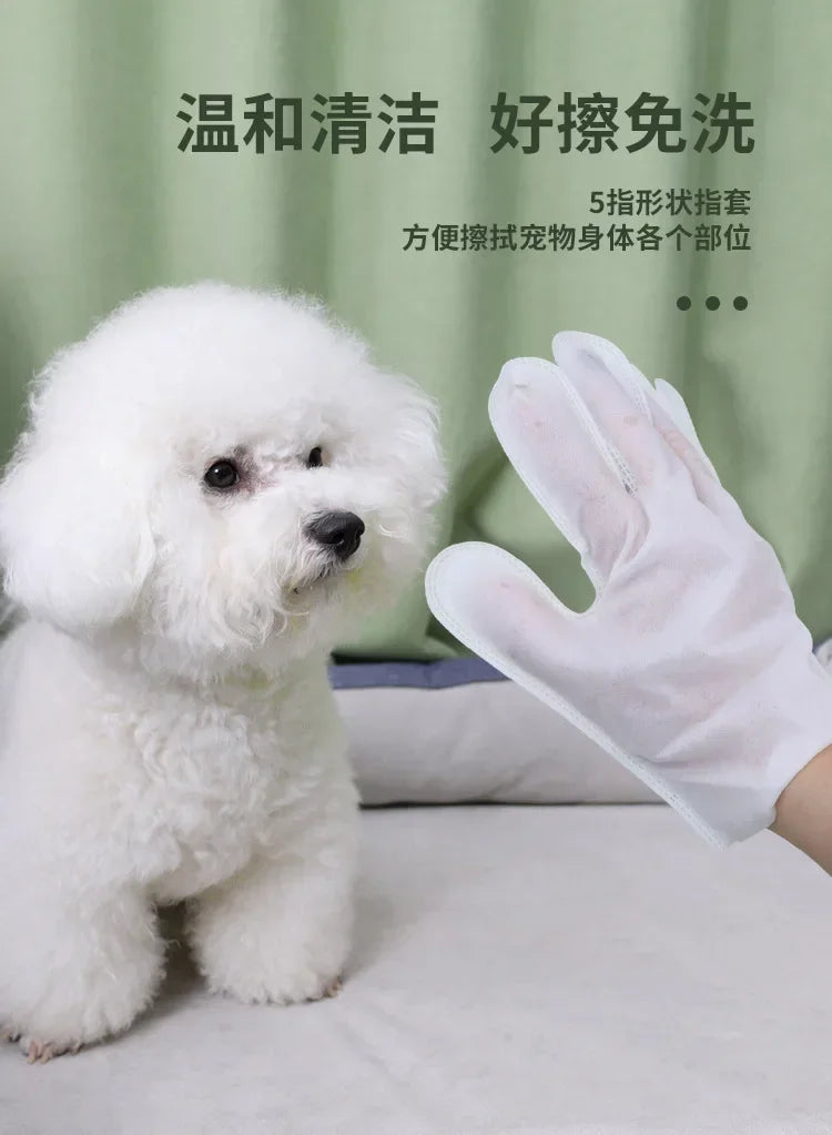 6PCS Cat Dog Disposable Glove Towels Pet Wash Free Glove No Rinse Washing Gloves Towels Deodorizing Dry Cleaning Wet Towels