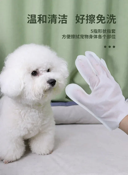 6PCS Cat Dog Disposable Glove Towels Pet Wash Free Glove No Rinse Washing Gloves Towels Deodorizing Dry Cleaning Wet Towels