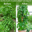 90cm Adjustable Tomato Cage 36 inches Plant Support Cages Cucumber Trellis for Climbing Plants 4 Adjustable Rings and Plant Clip