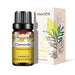 Chamomile