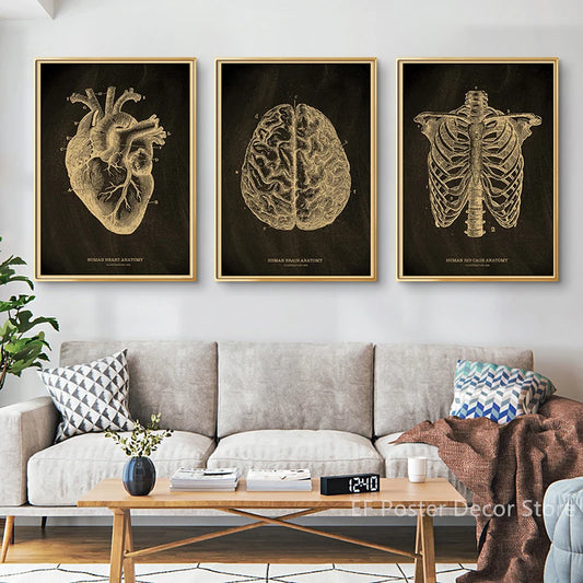 Medical Poster Vintage Anatomy Illustration Posters Prints Rib Cage/Human Heart/Brain/Skull Painting Home Clinic Art Wall Decor