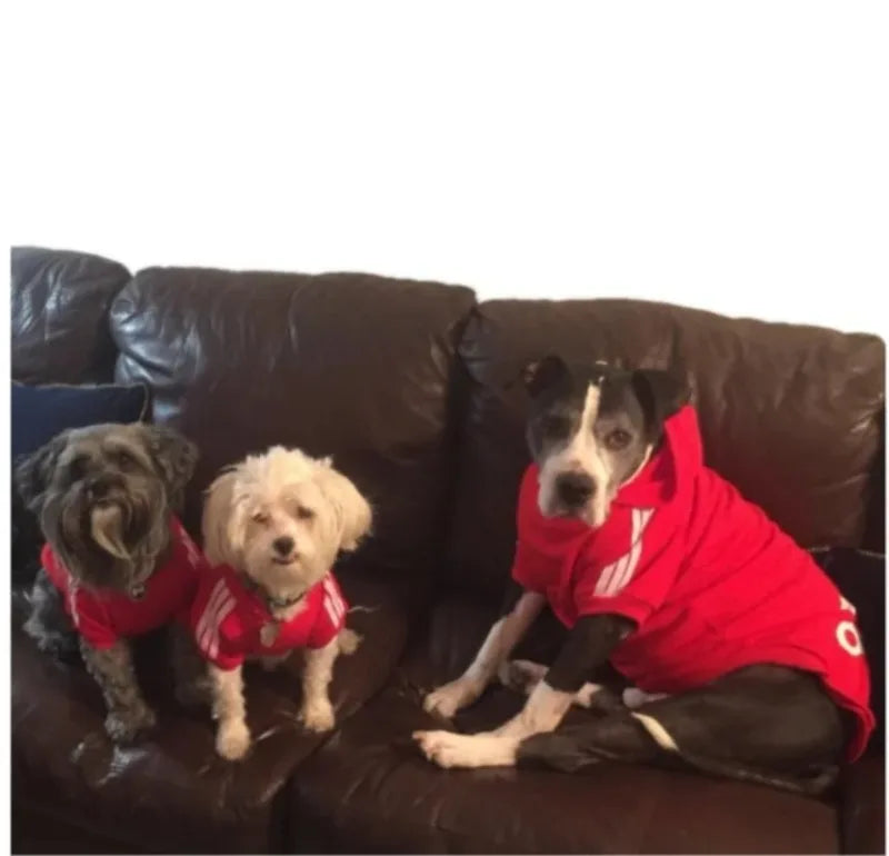 Ropa cálida para perros de otoño e invierno, sudaderas con capucha para perros Adidog, abrigo cálido para mascotas, chaqueta para perros medianos y grandes, suéter, ropa para cachorros de bulldog francés