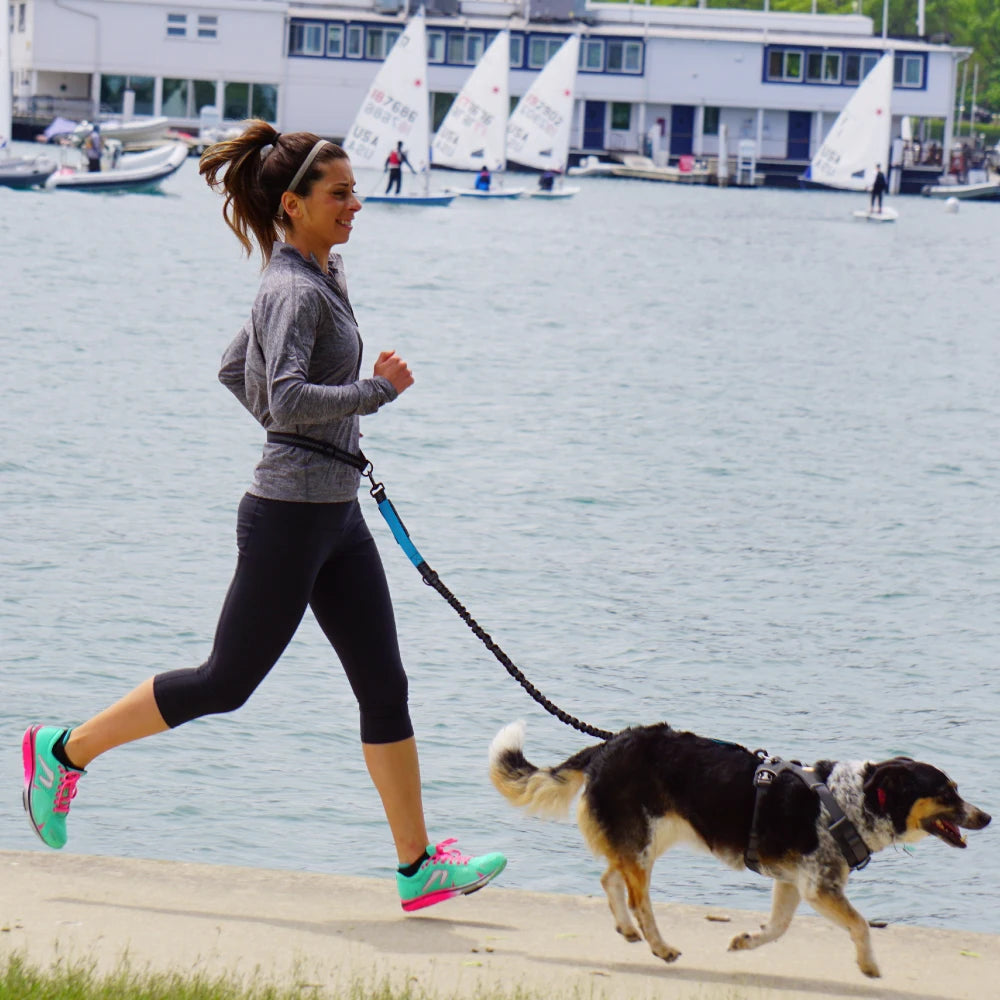 Correa de perro manos libres para pasear, correr y trotar, ajustable, cinturón de cintura, correa de pecho, cuerda de tracción, accesorios para perros