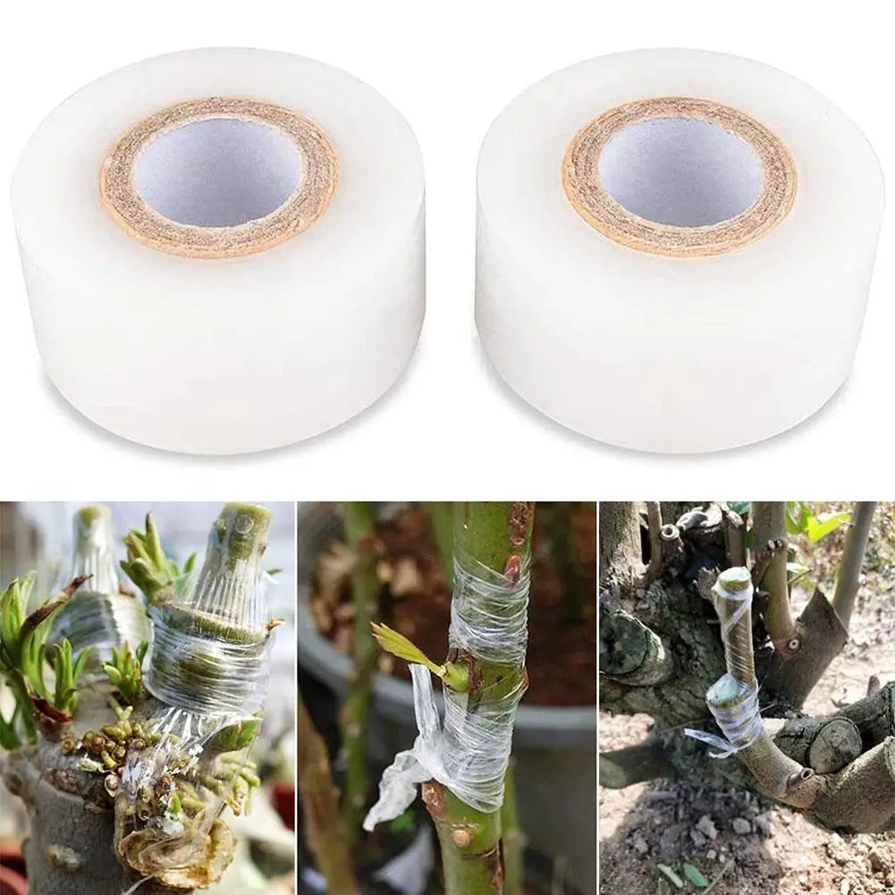 Stretchable auto-adesivo Degradable Nursery Enxerto Tape Roll, transparente, fita vegetal, transparente, poda, 3 4cm x 200m