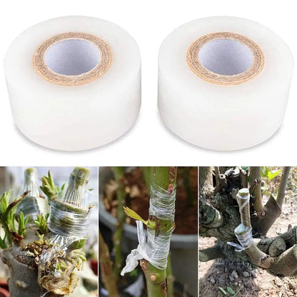 Stretchable auto-adesivo Degradable Nursery Enxerto Tape Roll, transparente, fita vegetal, transparente, poda, 3 4cm x 200m