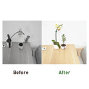 1-15PCS Plant Supports Stakes Flower Stand Sticks Reusable Plant Clips Bonsai Fixing Tool Flower Grow Holder Garden Tools