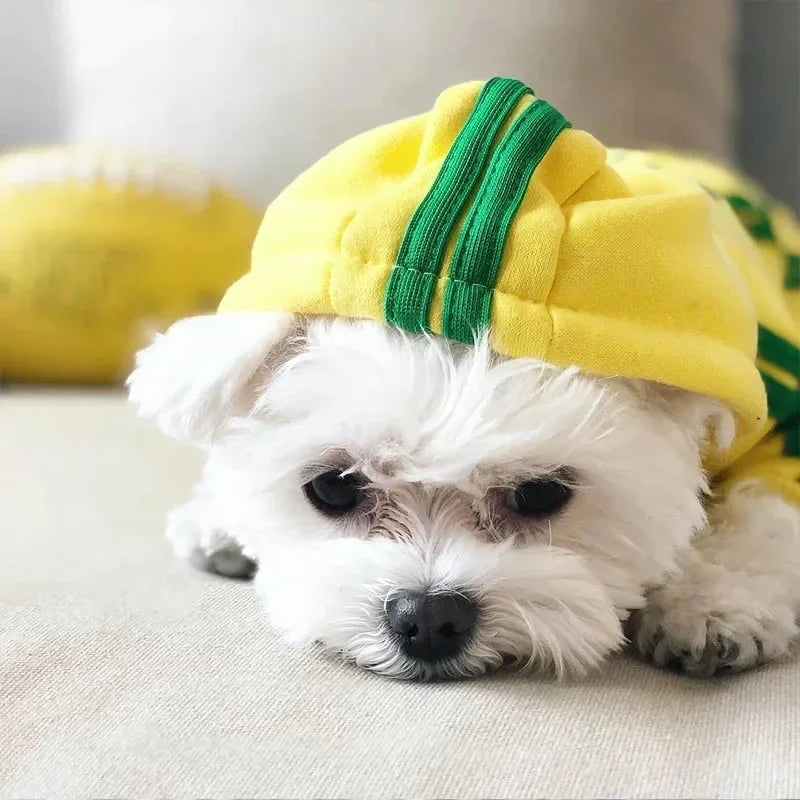 Macacão Pequeno e Médio Cão, Roupa Pet, Roupa Filhote, Buldogue Francês, Chihuahua, Pug, Animais de Estimação, Roupas