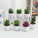 Plantas suculentas artificiales de bonsái, suculentas de simulación, mini bonsái perenne, cactus, suculentas de plástico, plantas falsas para decoración.