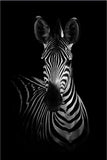 Canvas Painting Animal Wall Art Lion Elephant Hippo Zebra Poster And Modern Minimalist Photo Wall Living Room Bedroom Decoration