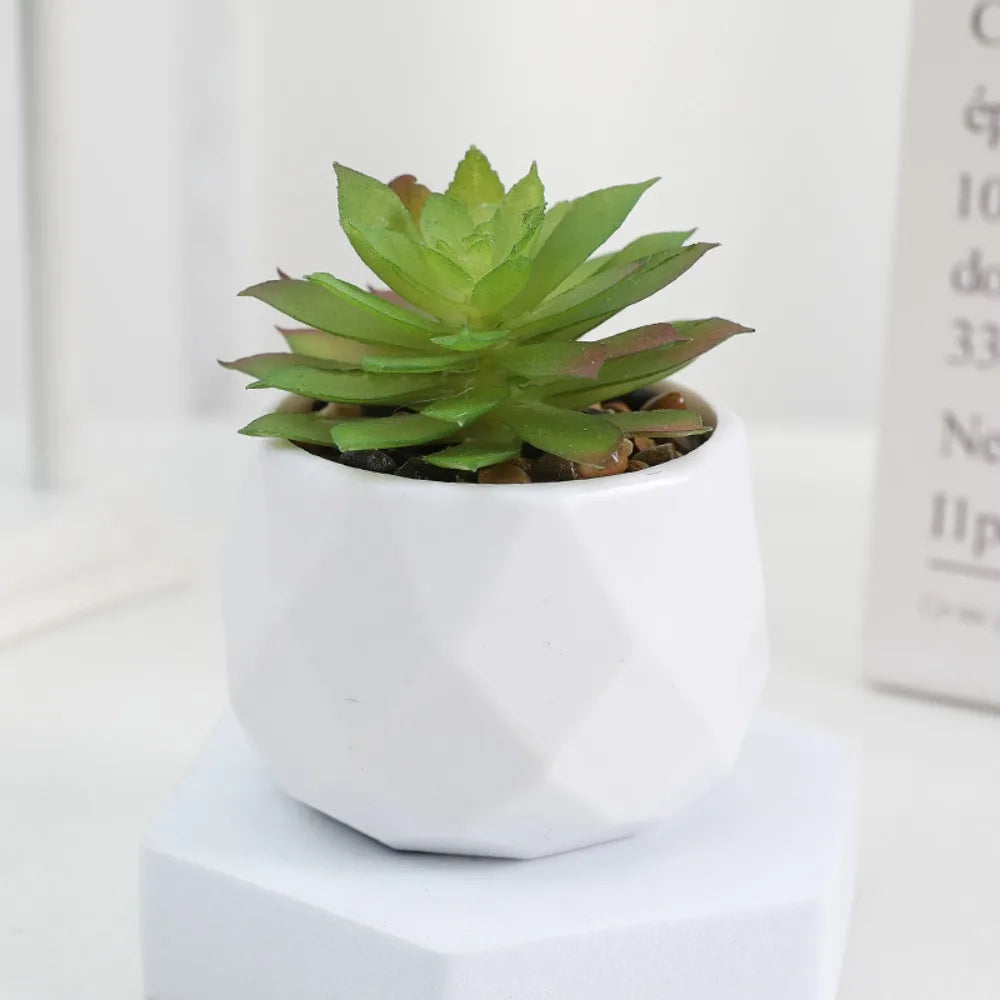 Plantas suculentas artificiales de bonsái, suculentas de simulación, mini bonsái perenne, cactus, suculentas de plástico, plantas falsas para decoración.