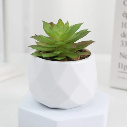 Artificial Succulent Bonsai Plants Simulation Succulents Mini Evergreen Bonsai Cactus Succulent Plastic Fake Plants Decor