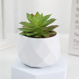 Plantas suculentas artificiales de bonsái, suculentas de simulación, mini bonsái perenne, cactus, suculentas de plástico, plantas falsas para decoración.
