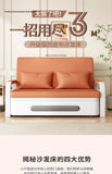 Sofá cama plegable de doble propósito para apartamentos pequeños, muebles de sala de estar de celebridades de Internet, retrato simple y doble multifunción