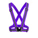 purple elasticity