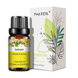 Óleo Essencial de Lavanda 10ml – Puro e Natural para Difusor e Umidificador (Aromaterapia) – Também disponível em aromas de Jasmim e Baunilha – Ideal para velas e sabonetes artesanais