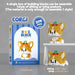 CORGI nobox