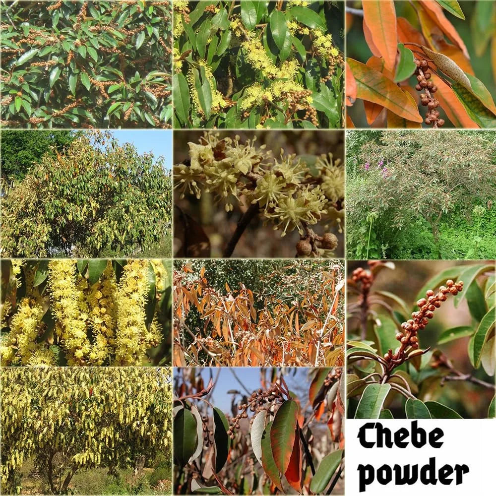 Óleo nutritivo Layden africano feito por métodos antigos Óleo de cabelo quente para fortalecimento do couro cabeludo e das raízes do cabelo