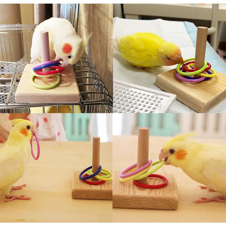 Bird Training Toys Set Wooden Block Puzzle Toys For Parrots Colorful Plastic Rings Intelligence Training Chew Toy Bird Supplies