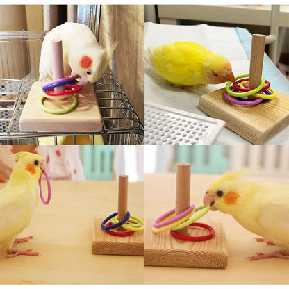 Bird Training Toys Set Wooden Block Puzzle Toys For Parrots Colorful Plastic Rings Intelligence Training Chew Toy Bird Supplies