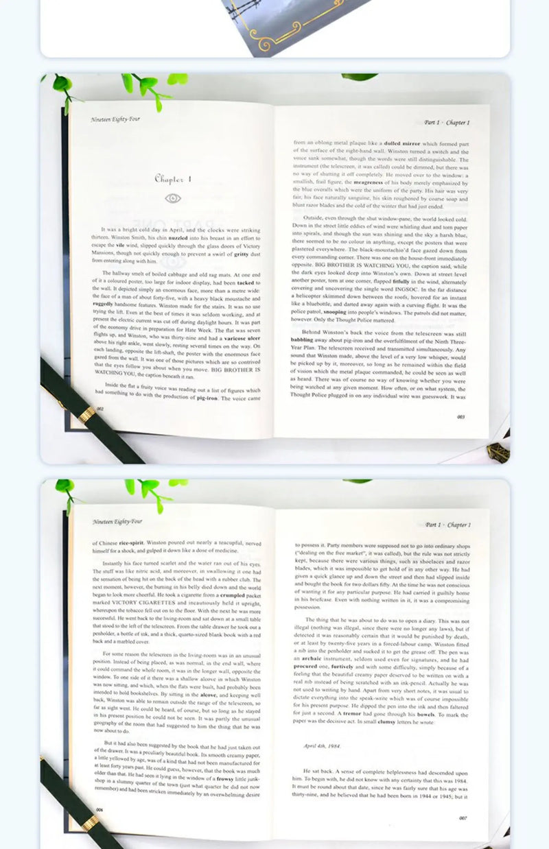 English Novel Book Nineteen Eighty-Four English Original Version 1984 World Classic Literature Fiction Book Genuine Libros