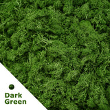 Artificial Green Plants Eternal Life Moss DIY Crafts Grass Garden Home Room Decor Mini Landscape Fake Grass 20/40/100g