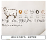 Luxury 100% Wool Quilt Core Autumn Winter Thickened Warm Quilted Comforter Fluffy Soft King Queen Size Solid White Duvet Insert