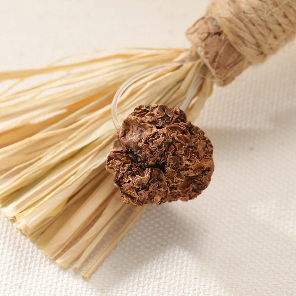 Natural Matatabi Pet Cat Snacks Sticks Cleaning Tooth Catnip Cat Toys Actinidia Silvervine Pet Toy For Cats Accessories