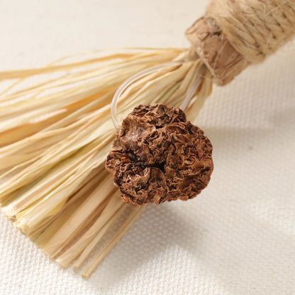 Natural Matatabi Pet Cat Snacks Sticks Cleaning Tooth Catnip Cat Toys Actinidia Silvervine Pet Toy For Cats Accessories