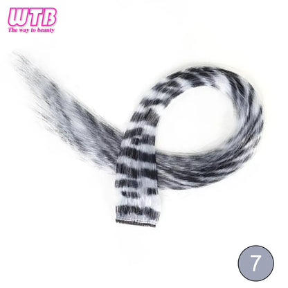 Synthetic One Card Hair Extension Wig Hair For Women Long Straight Clip-in Colored Zebra Line Feather Hair Extensions Fake Hair