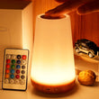 Luminária Noturna RGB Recarregável via USB com 13 Cores, Controle Remoto e Touch – Portátil, com Intensidade Regulável (Ideal para Mesa ou Cabeceira)