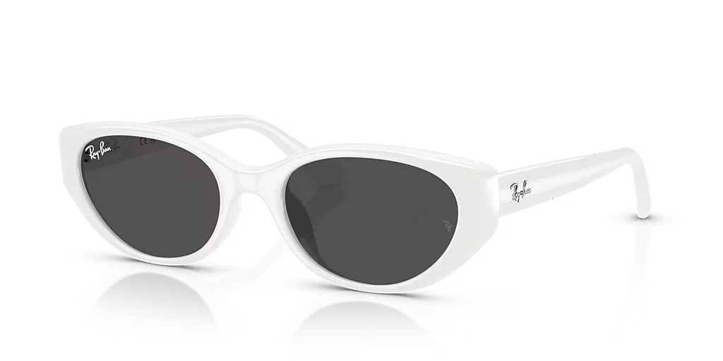 Rayban Original 4457 Classic Sunglasses in Box