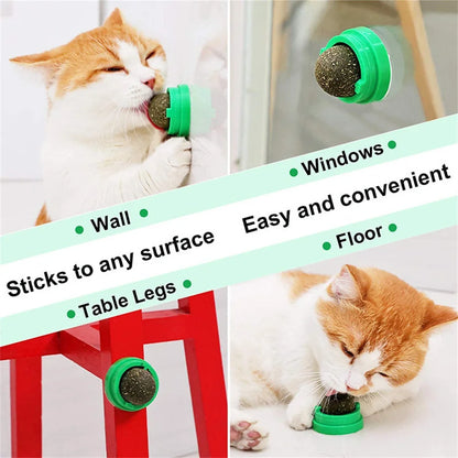 Natural Catnip Balls Lickable Cat Grass Snack Kitten Scratchers Toy Treats Chewing Fresh Breath For Small Medium Pet Cat