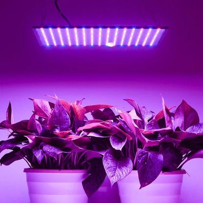 Full Spectrum Indoor Grow Light, Phytolamp para Plantas, Phyto Lamp para Gow Tent Box, Mudas crescendo e florindo, 1000W