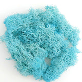 Artificial Green Plants Eternal Life Moss DIY Crafts Grass Garden Home Room Decor Mini Landscape Fake Grass 20/40/100g