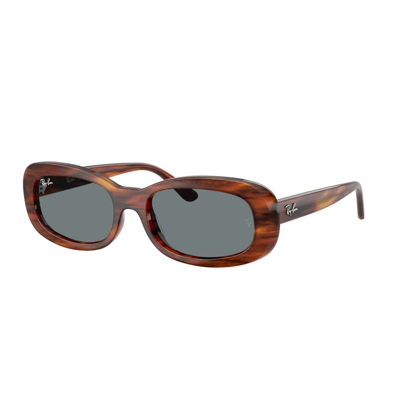 Rayban Original 2221F Polarized Sunglasses with Glass Lens in Box