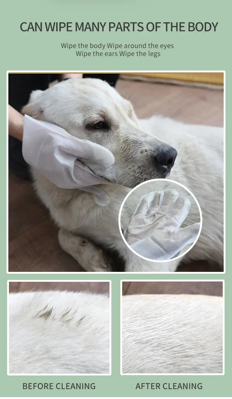 6PCS Cat Dog Disposable Glove Towels Pet Wash Free Glove No Rinse Washing Gloves Towels Deodorizing Dry Cleaning Wet Towels