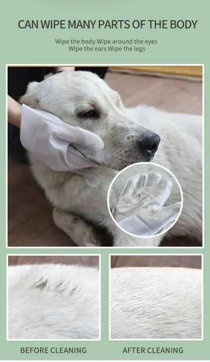 6PCS Cat Dog Disposable Glove Towels Pet Wash Free Glove No Rinse Washing Gloves Towels Deodorizing Dry Cleaning Wet Towels