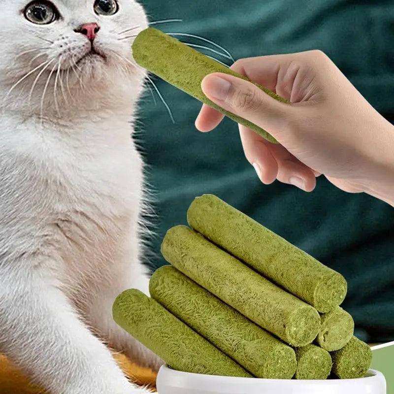 Cat Grass Teething Stick 5Pcs/bag Freeze-dried Cat Dog Snacks Stress Relief Cat Food For Small Medium Large Cats