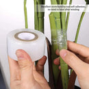 Stretchable auto-adesivo Degradable Nursery Enxerto Tape Roll, transparente, fita vegetal, transparente, poda, 3 4cm x 200m