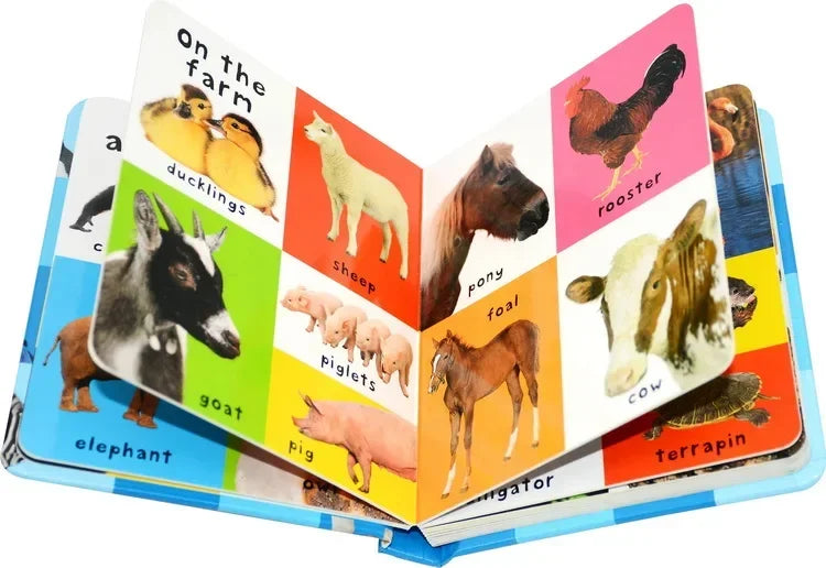 Montessori First 100 English Words Learning Cardboard Book Animals Colors Numbers Language Physical Picture Teaching Aids