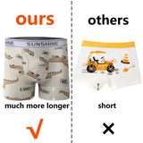 1/3/6 Pcs Boys Boxer Briefs Sets 2025 New Kids Cotton Underwear Boy Underpants Teenager Dinosaur Print Soft Children Panties