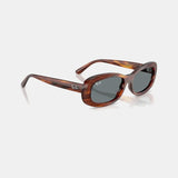 Rayban Original 2221F Polarized Sunglasses with Glass Lens in Box