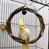 Solid Wood Parrot Stand Training Bird Stand Parrot Toys Desktop Training Stand Pole Interactive Playground Small Pet supplies