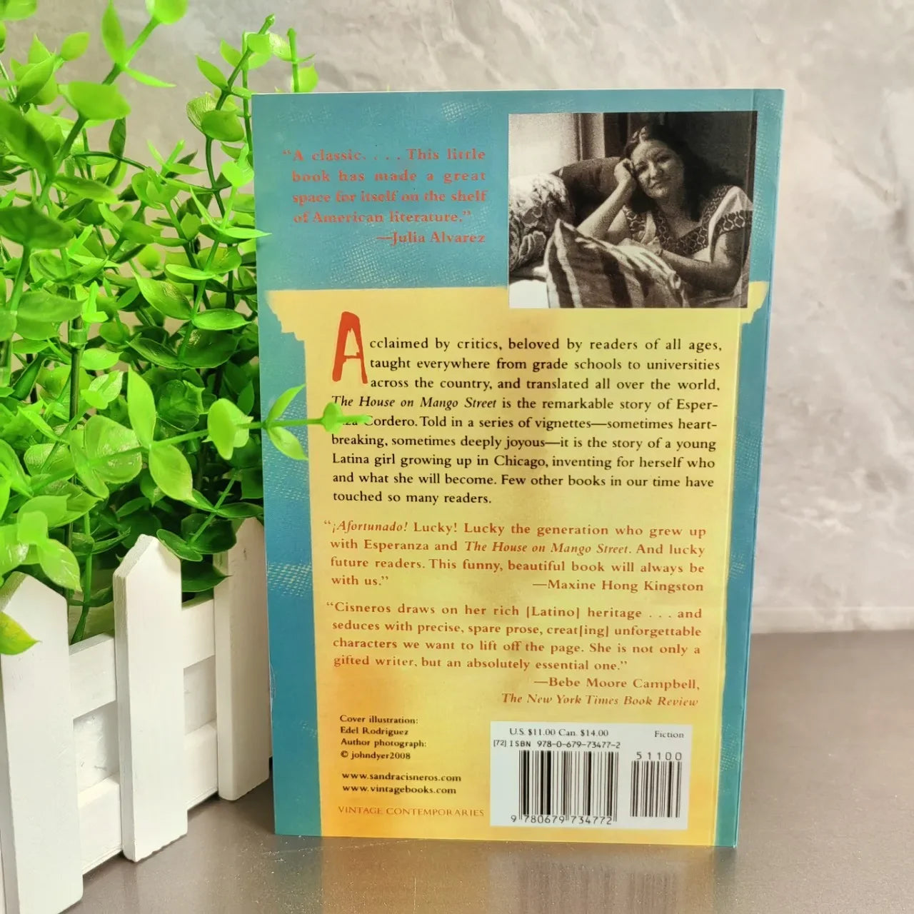 Book The House on Mango Street. Editorial VINTAGE 2007 Year Author Sandra Cisneros