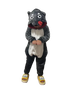 Grey wolf A