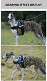 Pet Customizable Harness Vest For Small Medium Large Dog Classic Luxury Walking Dog Harness Adjustable No pull Safe Pet Supplies