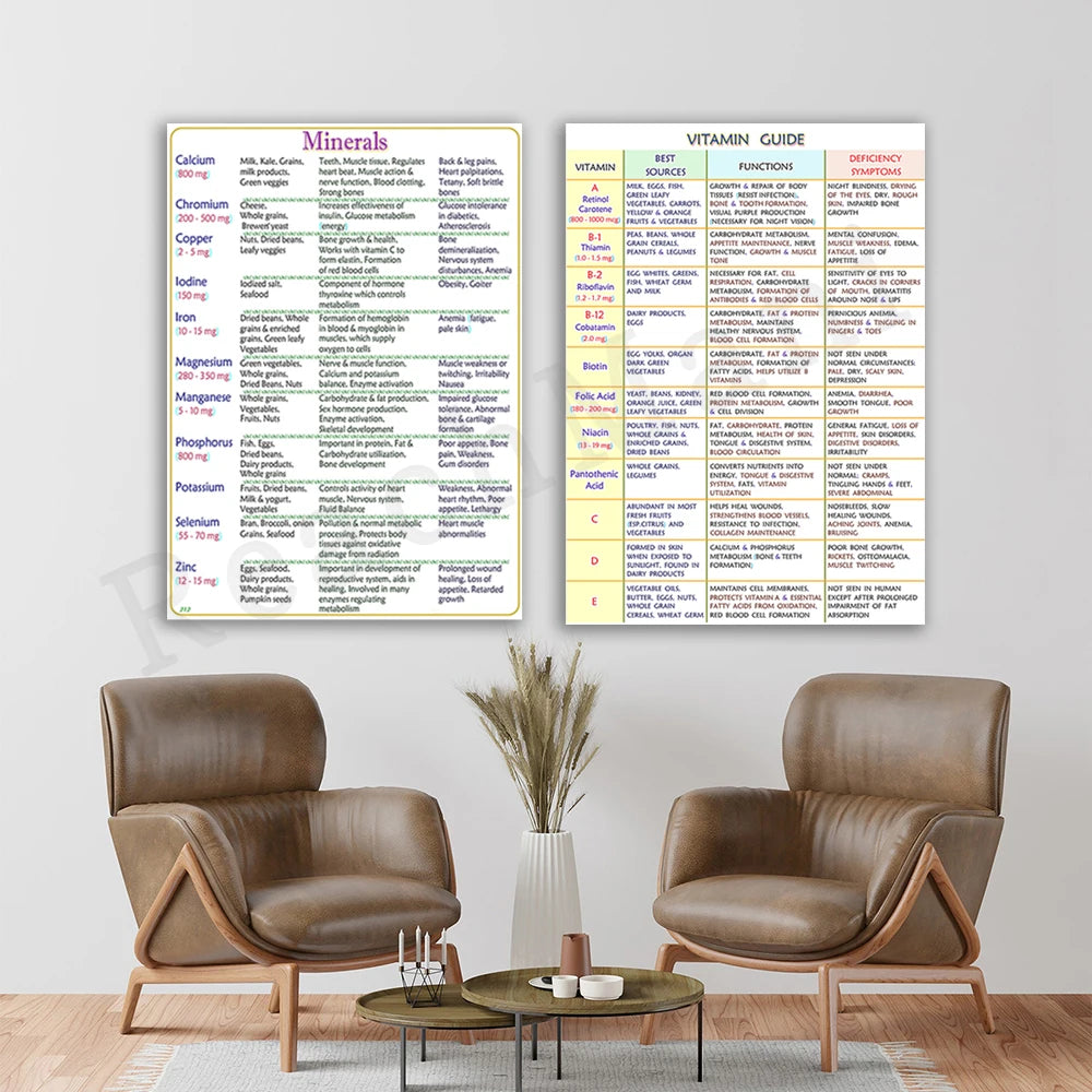Guide, information on important minerals for health and well-being, healthy vitamins guide decorative canvas typographic poster