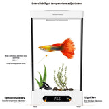 Smart betta dedicated fish tank desktop mini small ecological self-circulating desk aquarium fish tank