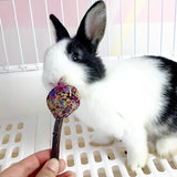9/14PCS Small Pet Toy Set Chew Toy For Rabbits Teeth Grinding Teeth Guinea Pig Apple Branches Bite Wood Teeth Grinding Snacks